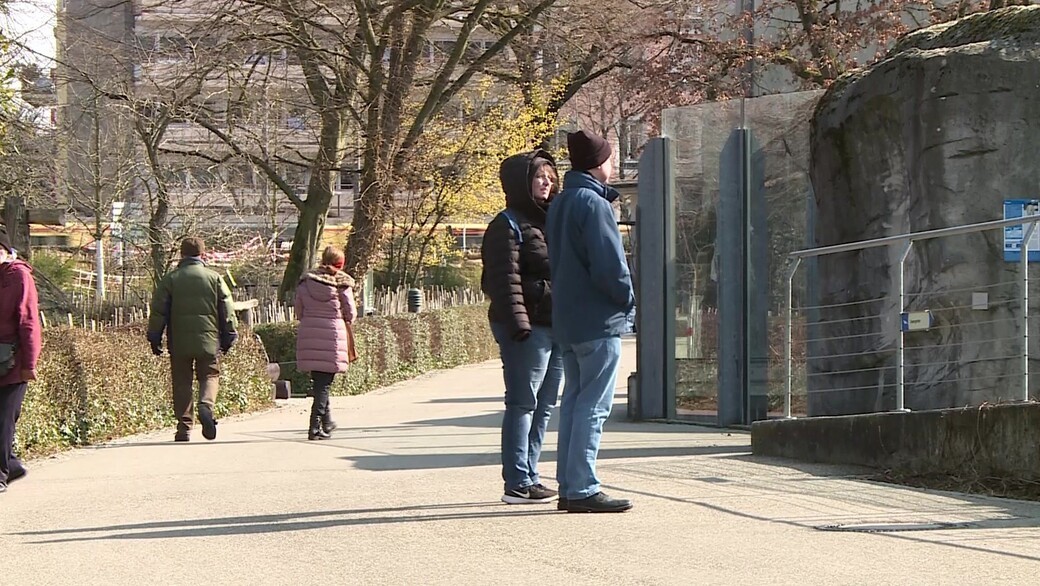 Kein Platz im Rastatter Tierheim Baden TV