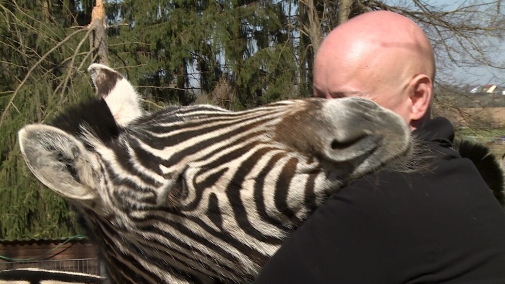 Kein Platz im Rastatter Tierheim Baden TV