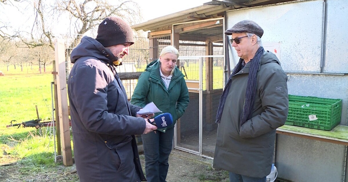 Wildtierpflegestation Mittelbaden Akzeptiert Möglichen Neuen Standort ...